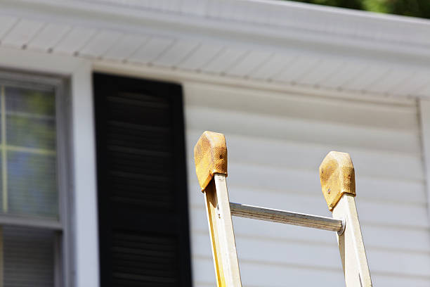 Best Vinyl Siding Installation  in USA